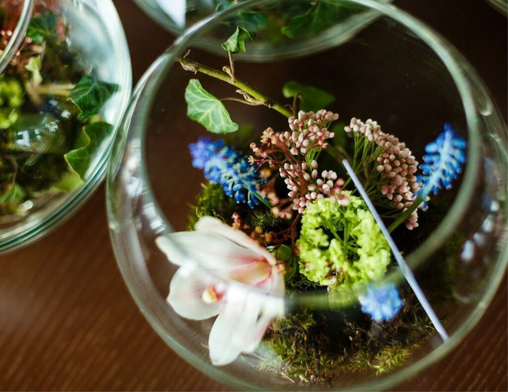 Orchid Terrarium