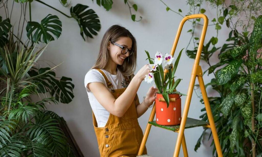Orchid Health