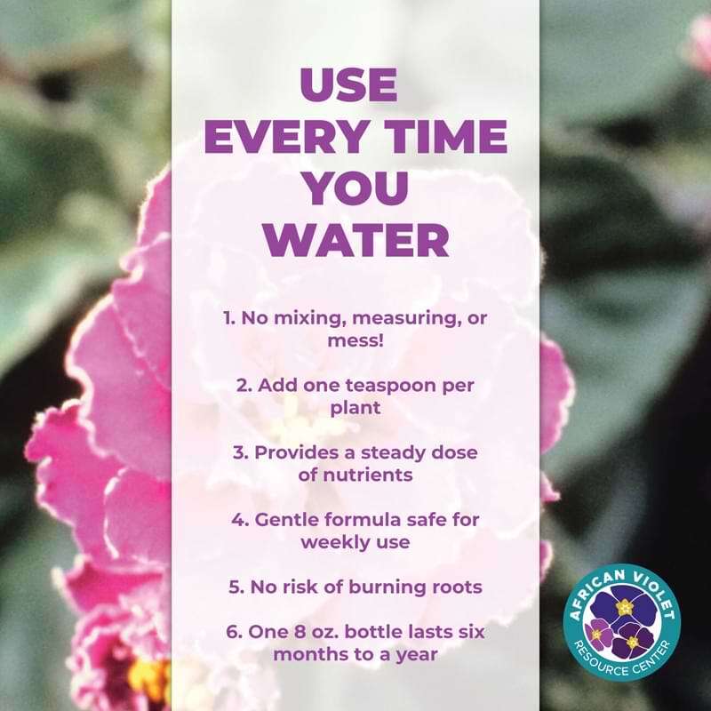 African Violet Plant Food