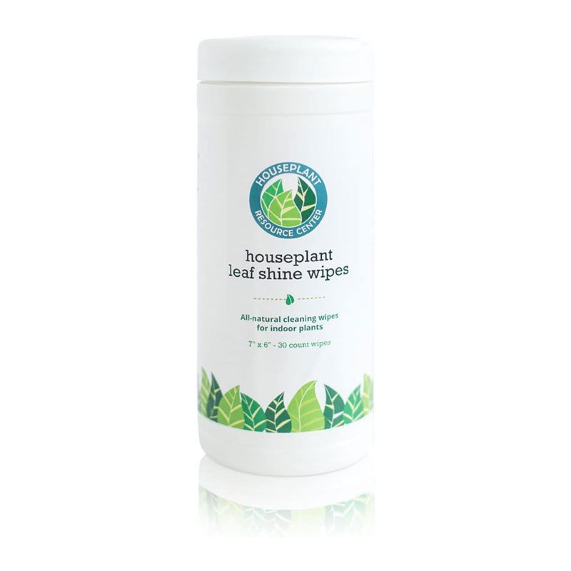 Houseplant Leaf Shine Wipes