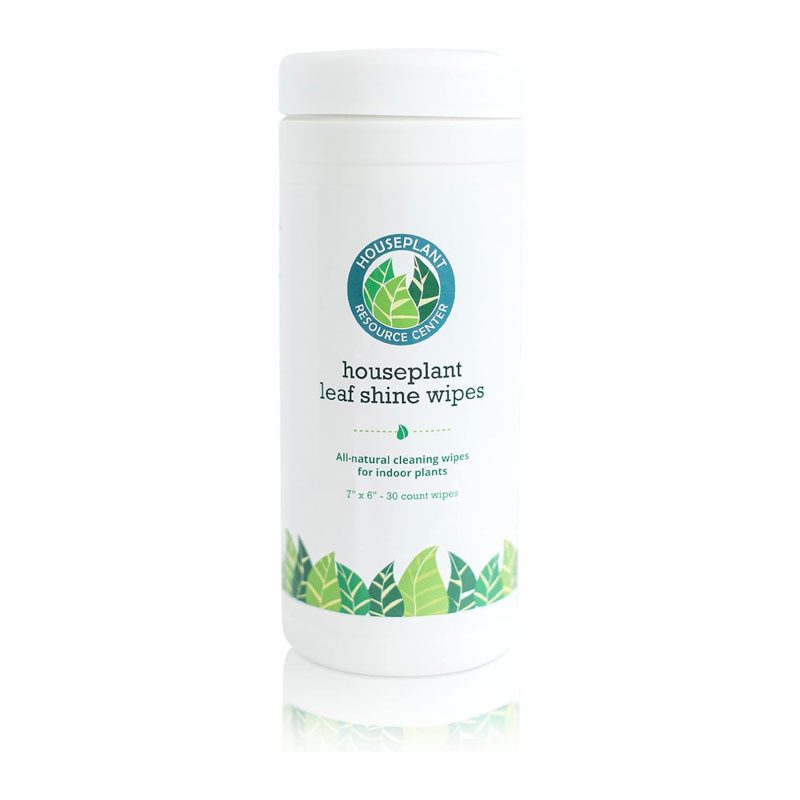 Houseplant Leaf Shine Wipes