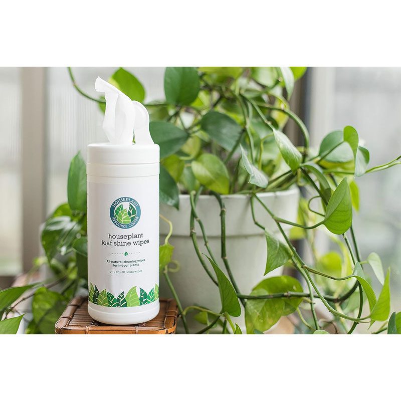 Houseplant Leaf Shine Wipes