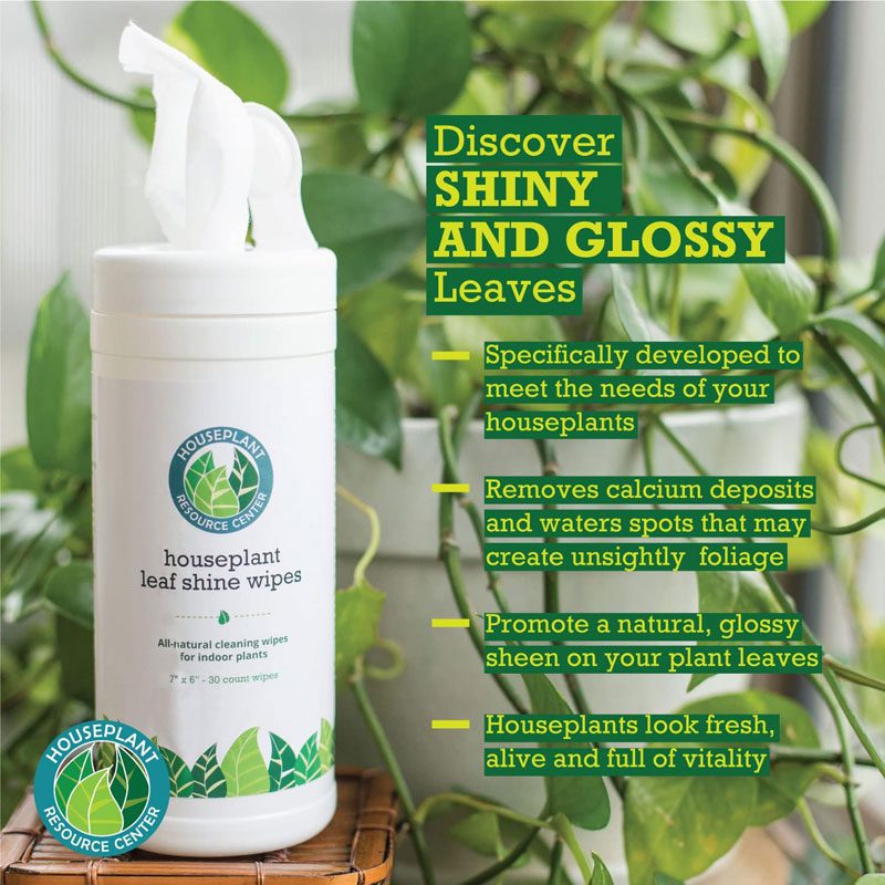 Houseplant Leaf Shine Wipes