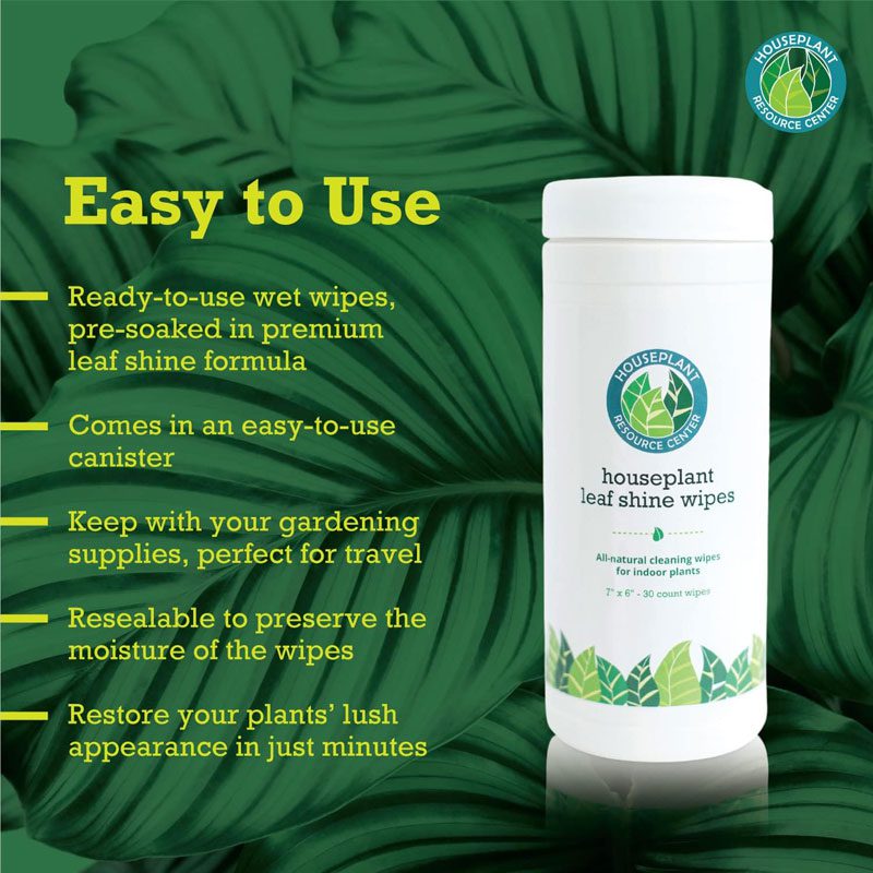 Houseplant Leaf Shine Wipes