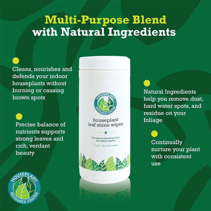 Houseplant Leaf Shine Wipes
