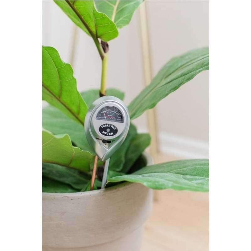 Houseplant Moisture Meter