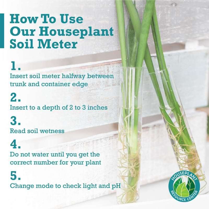 Houseplant Moisture Meter
