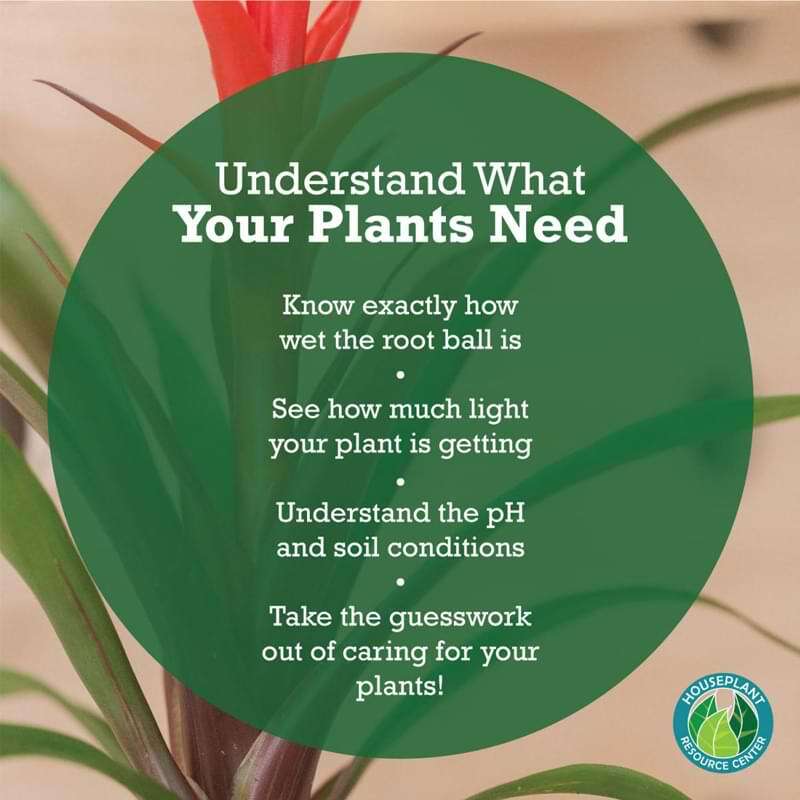 Houseplant Moisture Meter