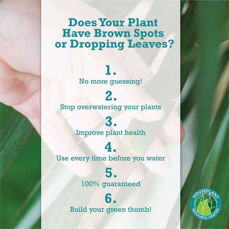 Houseplant Moisture Meter