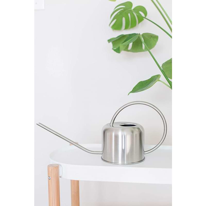 Houseplant Watering Can  