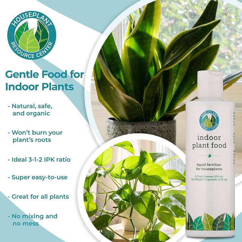 Indoor Plant Food