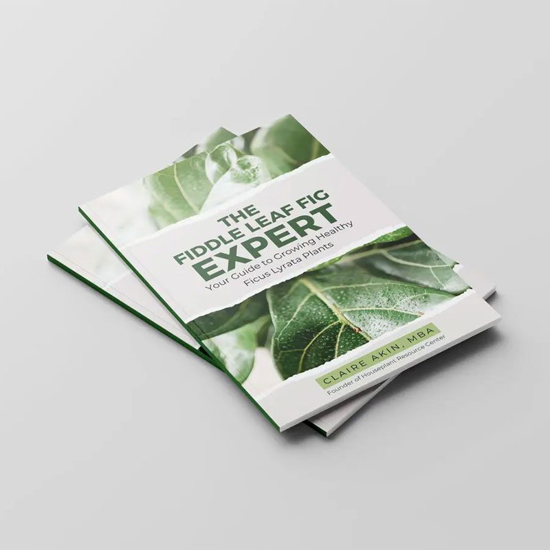 The Fiddle Leaf Fig Expert Book 