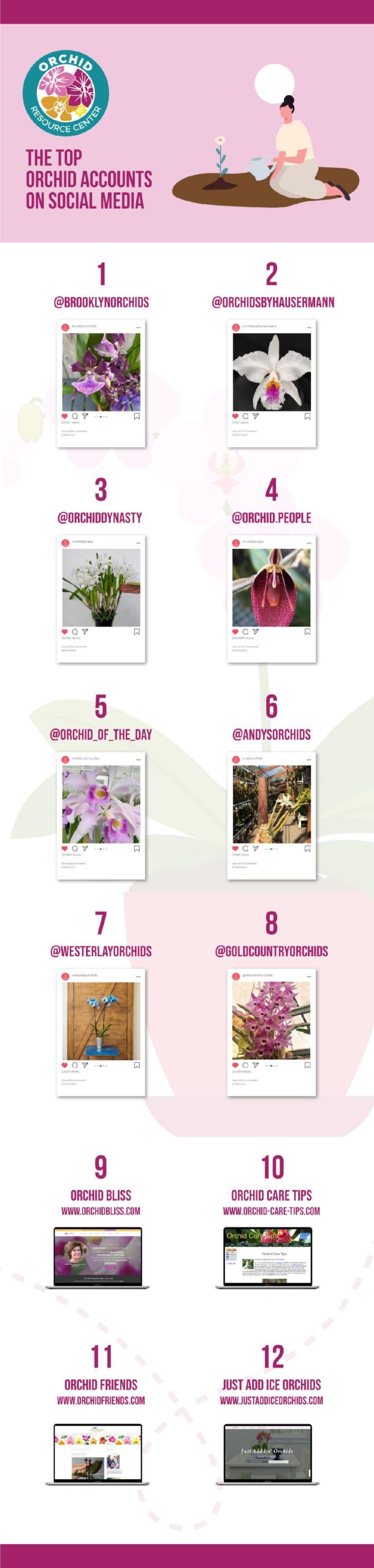 Discover the list of the top orchid Instgram accounts to follow. With gorgeous photos of orchids and helpful care tips, these accounts are the best. 