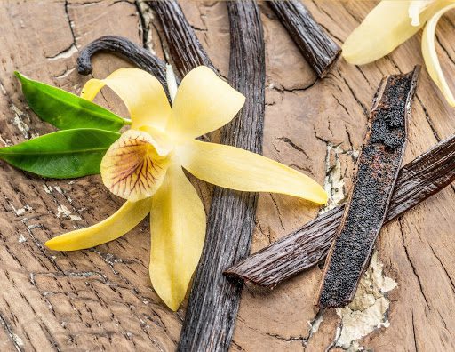 Everything You Need to Know About Growing a Vanilla Orchid