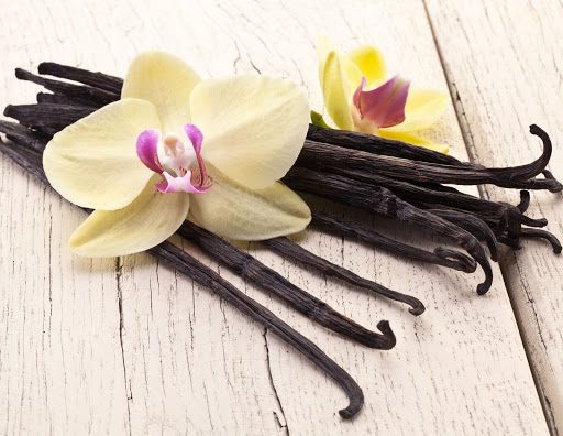 Everything You Need to Know About Growing a Vanilla Orchid