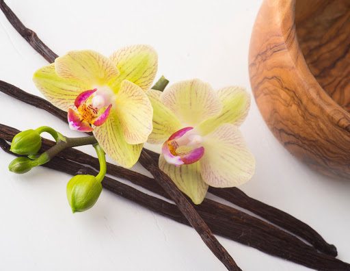 Everything You Need to Know About Growing a Vanilla Orchid