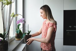 Orchid Care for Beginners Step #6: Place your orchid in a spot with optimal light