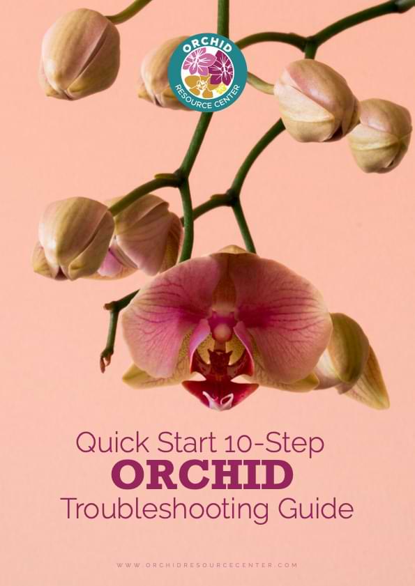 Quick-Start-10-Step-Orchid-Troubleshooting-Guide