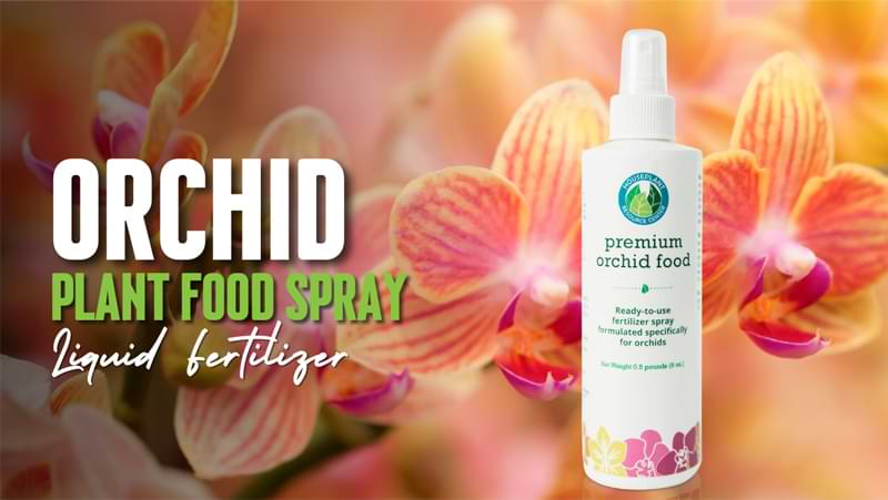 Orchid Fertilizer: Orchid Plant Food