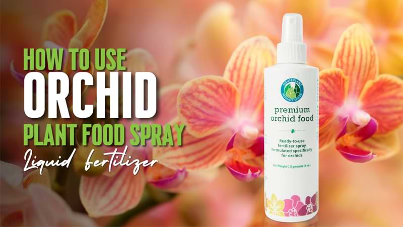 Orchid Plant Food Spray