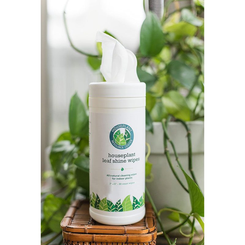 Houseplant Leaf Shine Wipes