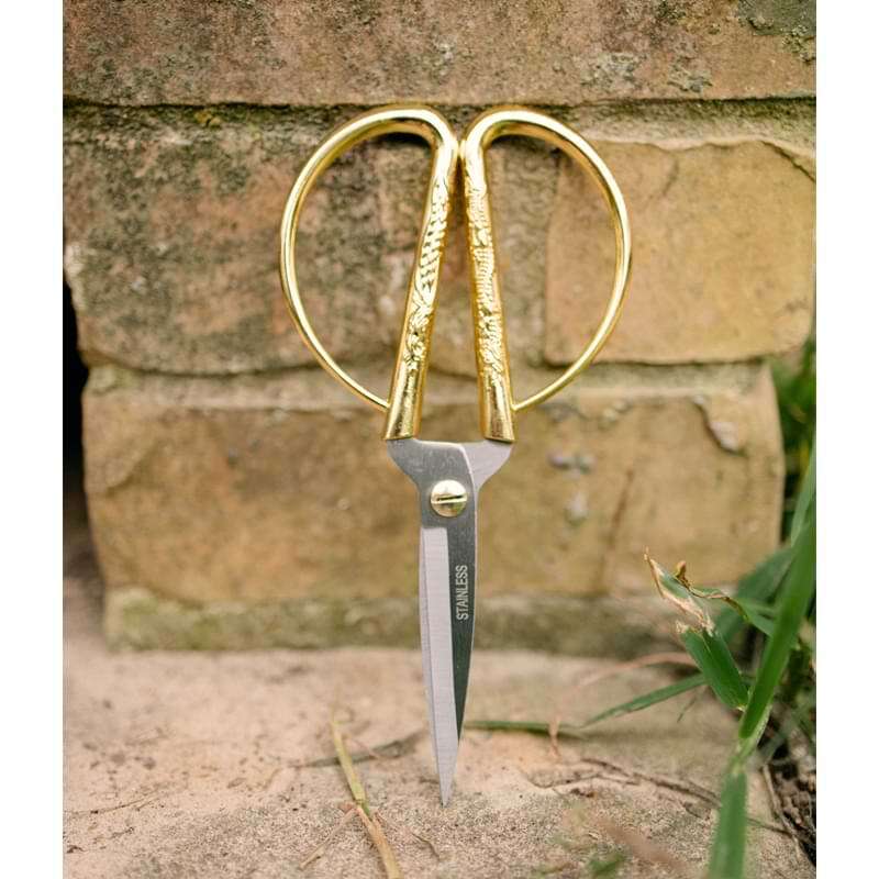 Houseplant Scissors and Pruning Shears