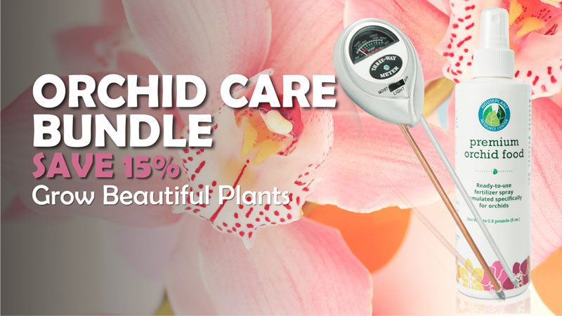 Orchid Care Bundle