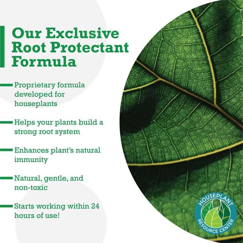 Root Supplement 