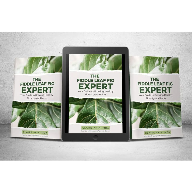 The Fiddle Leaf Fig Expert Book