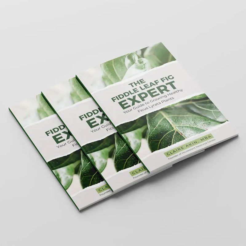 The Fiddle Leaf Fig Expert Book