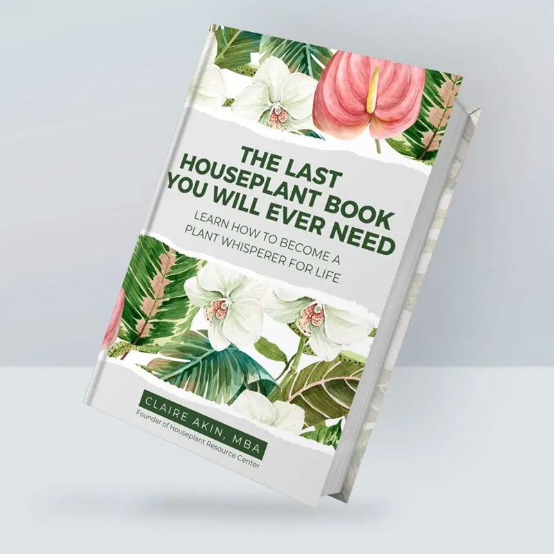 The Last Houseplant Book