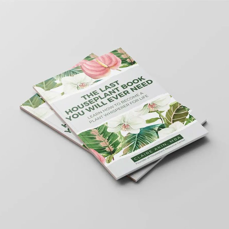 The Last Houseplant Book