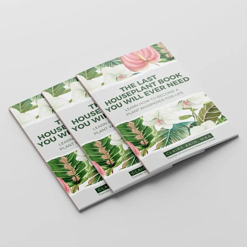 The Last Houseplant Book