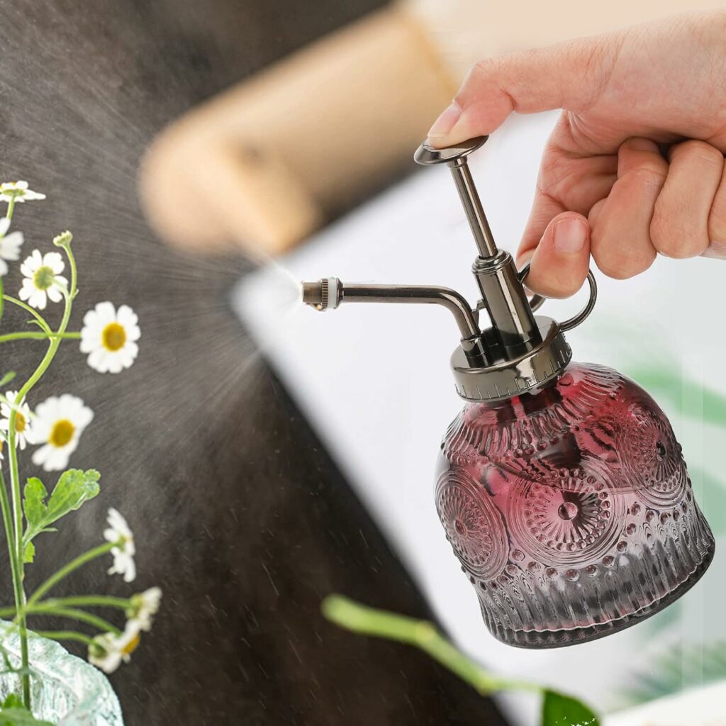 Need something for the orchid lover in your life? Check out our best orchid gift ideas perfect for holidays, special occasions, or just to show you care.