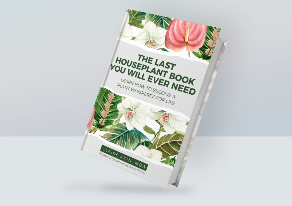 Need something for the orchid lover in your life? Check out our best orchid gift ideas perfect for holidays, special occasions, or just to show you care.