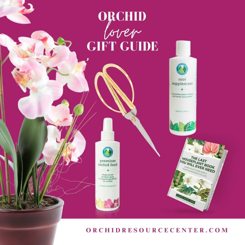 Need something for the orchid lover in your life? Check out our best orchid gift ideas perfect for holidays, special occasions, or just to show you care.