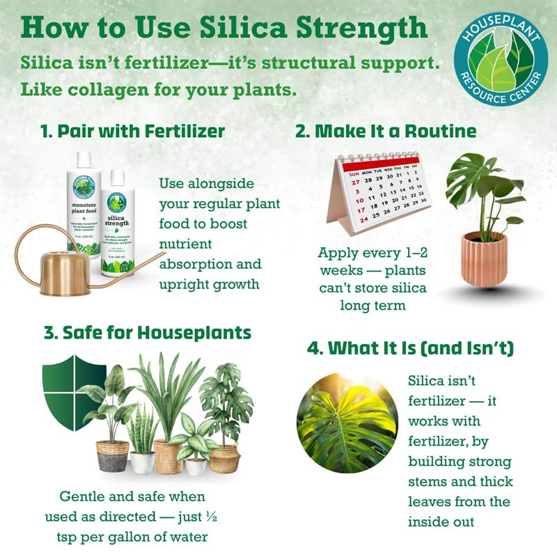 Silica Strength